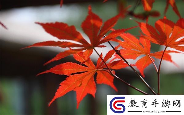 四叔一次又一次索取盛年豈