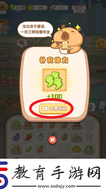 慢豚豚的生活