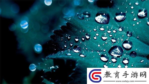 校園1V2或1V3