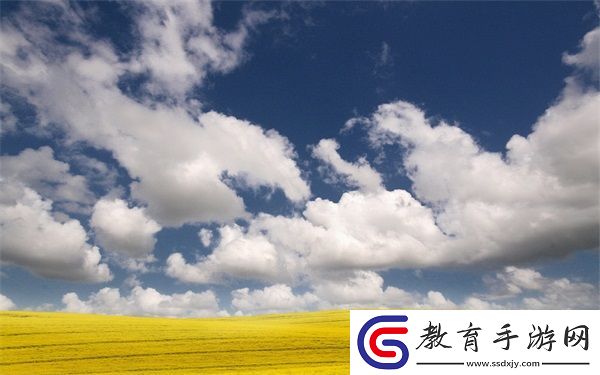 露露亞洲版和國際版的區別