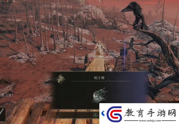 艾爾登法環(huán)荒廢廢墟位置在哪?荒廢廢墟全流程圖文攻略