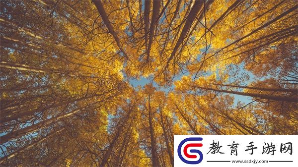 OVO食肉家取報(bào)告3