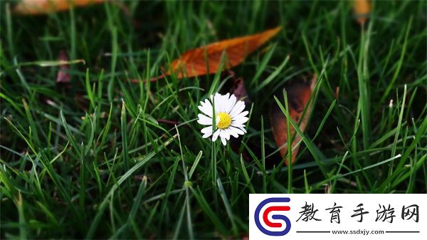 日日精進久久為功的近義詞