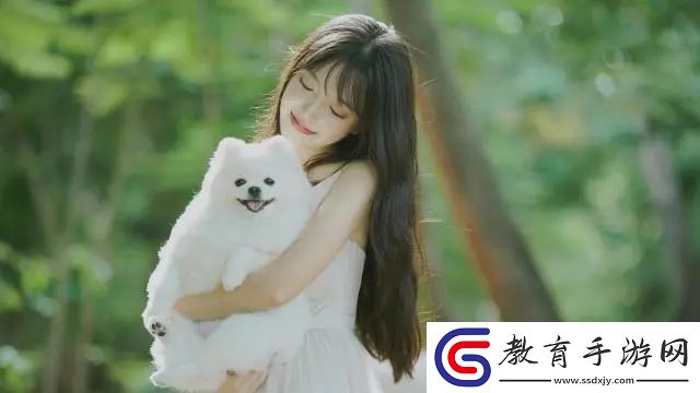 歐美vps與windows性能比較：選擇合適的云服務(wù)器，揭示企業(yè)的最佳選擇路徑！