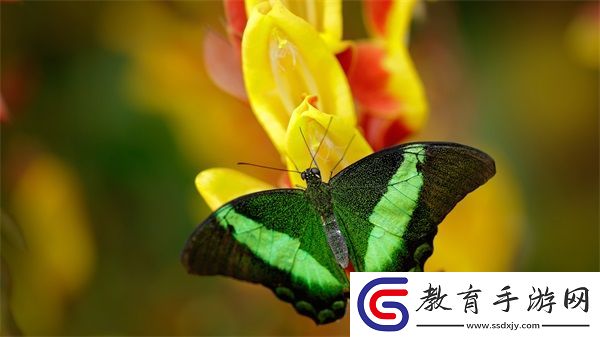 一邊做飯一邊狂做最有效的一句