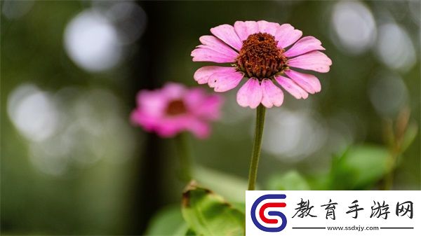 亞洲尺碼和歐洲尺碼區別衣服