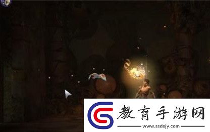 波斯王子失落的王冠悲苦護(hù)符怎么獲得的