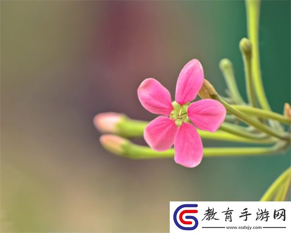 姬小滿吃狂鐵大季巴的趣味描述