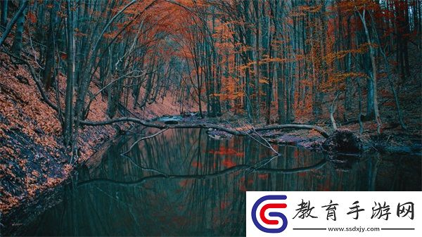 YSL口紅水蜜桃色號9229