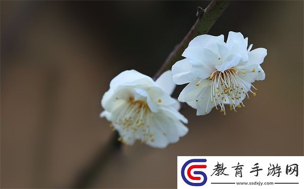 歐洲尺碼日本尺碼專線不卡頓