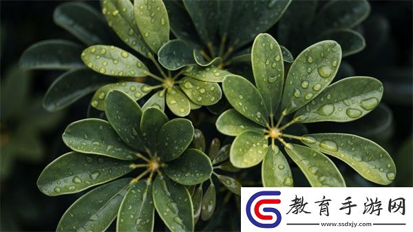 將軍上公主的場面描寫