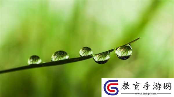 紫色的蘑菇根很粗大能吃嗎