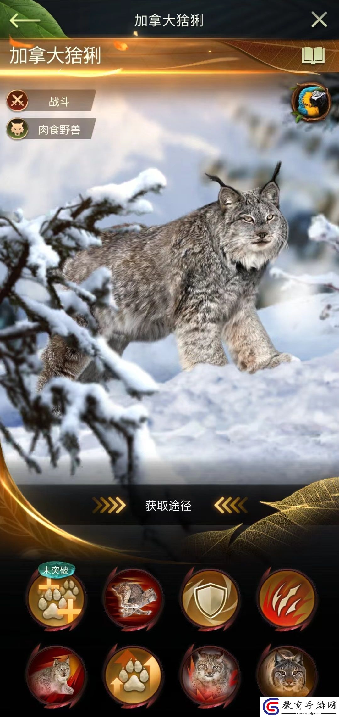 野獸領主新世界加拿大猞猁技能怎么樣