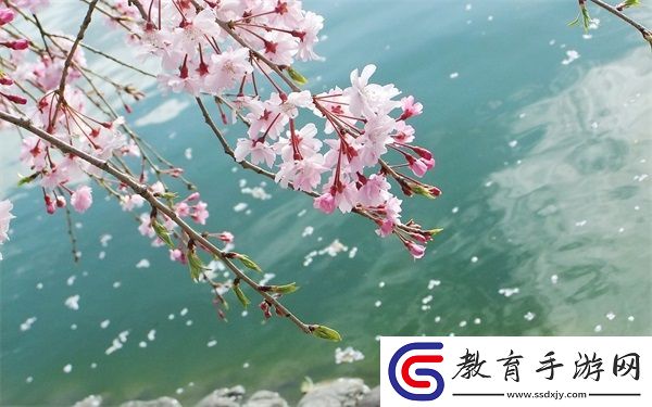 精華液一區二區區別