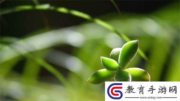 九牛電影天堂的影片推薦