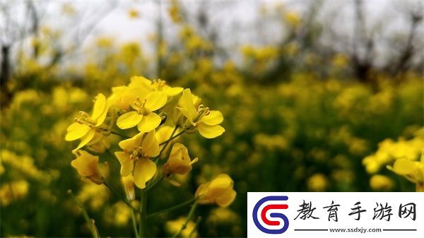 免費(fèi)國外b站刺激戰(zhàn)場直播app
