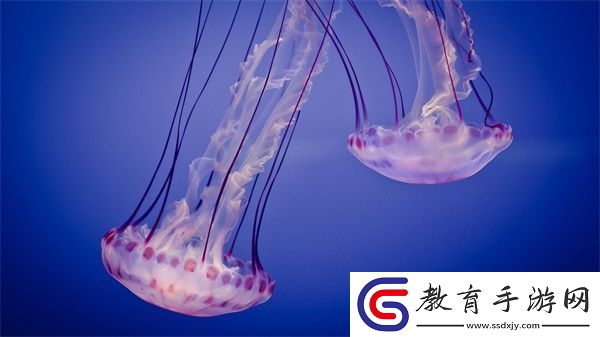 老農民老干棒的媳婦果兒是誰