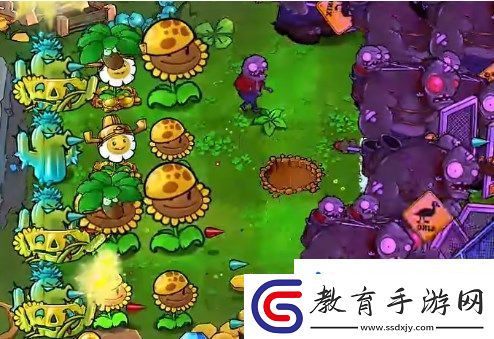 植物大戰僵尸雜交版挑戰模式47過關攻略