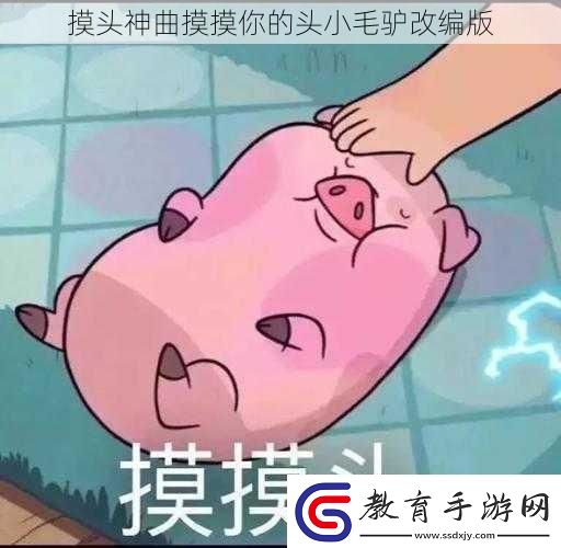 摸頭神曲摸摸你的頭小毛驢改編版