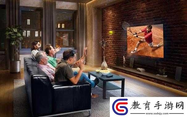 私人家庭影院