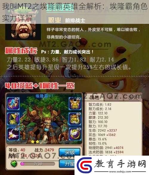 我叫MT2之埃隆霸英雄全解析