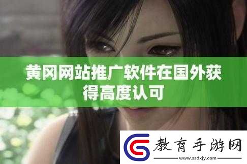 國外黃岡站推廣軟件