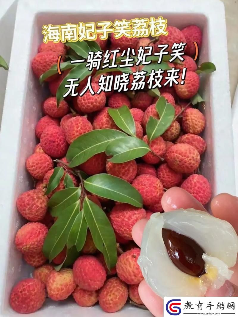 推進(jìn)荔枝之路