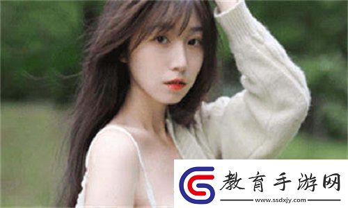 三葉草m碼和歐洲碼的區(qū)別