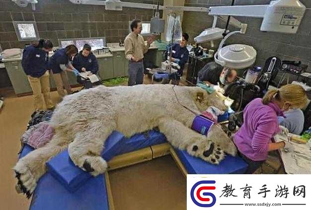大