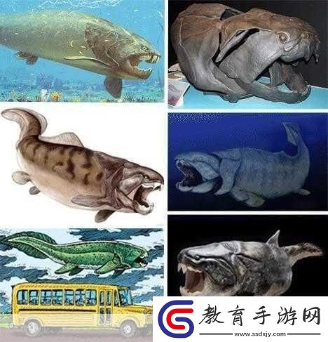 得到超級肉禽系統的紫嶺紅山有什么特別之處
