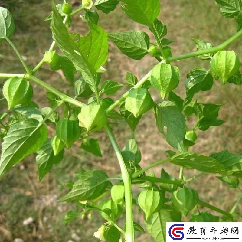 打撲時(shí)尚秀