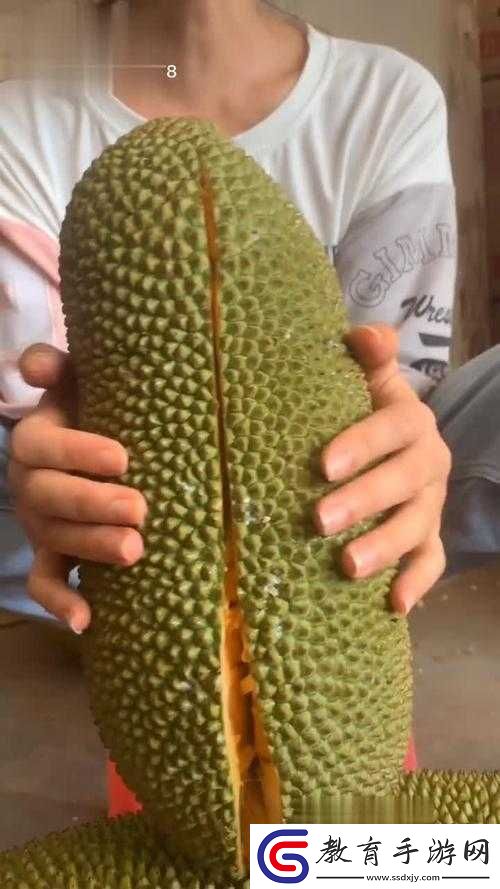 菠蘿蜜視頻在線觀看大全高清