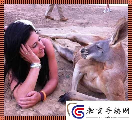 “奇趣互動(dòng)！高清時(shí)代的人物與動(dòng)物‘吵架’日常
