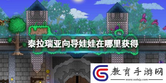 泰拉瑞亞向?qū)锥就尥拊趺传@得