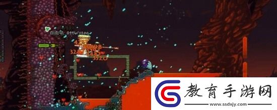 泰拉瑞亞向?qū)锥就尥拊趺传@得