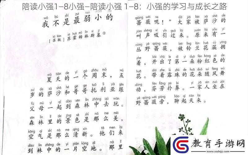 陪讀小強1—8小強—陪讀小強