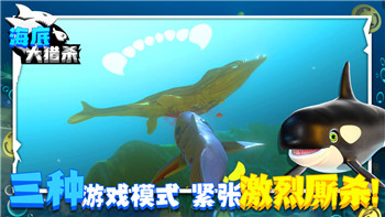 波西亞時光全人物好感攻略——提升與每個角色關系的有效策略與建議
