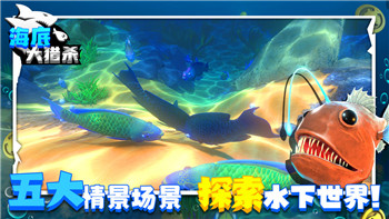 艾爾登法環PS4和PS5能聯機嗎