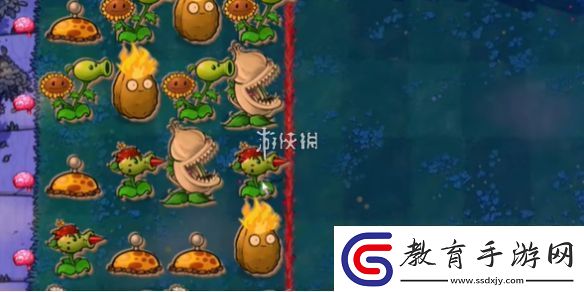 植物大戰僵尸雜交版益智模式我是僵尸怎么過