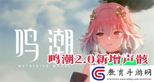 鳴潮2.0版本新聲骸套裝效果