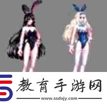 dnf兔女郎時裝外觀全職業(yè)2025最新一覽