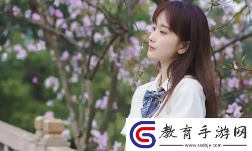 24小時看B站直播的軟件上線